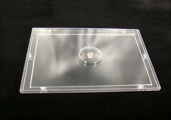 3D打印--半透明樹(shù)脂材料